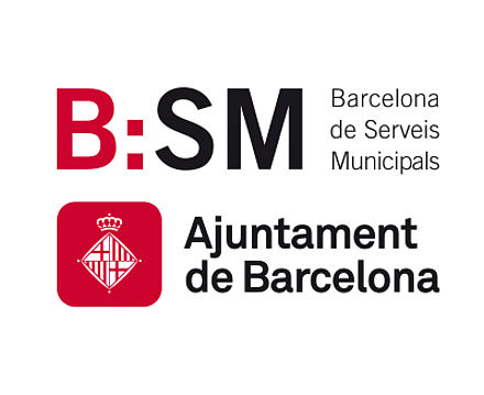 LOGO BSM CUADRADO